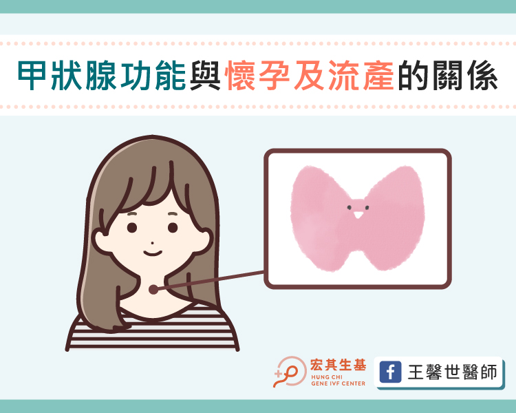 巧克力囊腫_工作區域 1-2 巧克力囊腫_工作區域 1-2