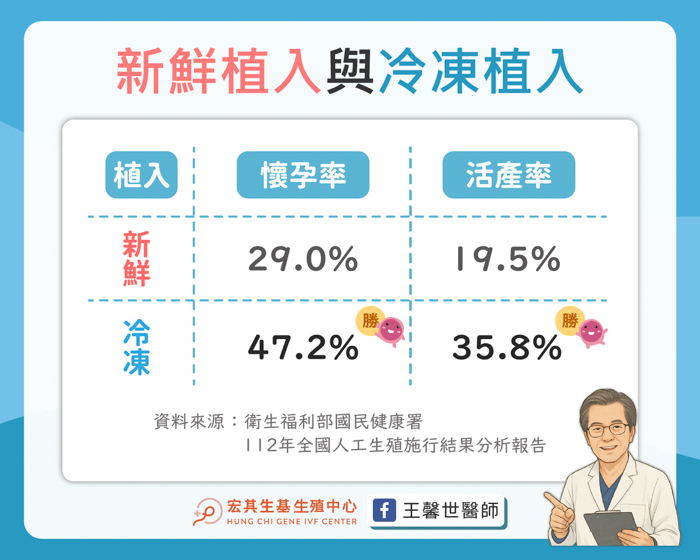 巧克力囊腫_工作區域 1-2