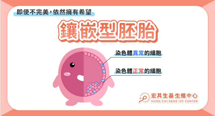 鑲嵌型胚胎_繁_封面圖 鑲嵌型胚胎_繁_封面圖