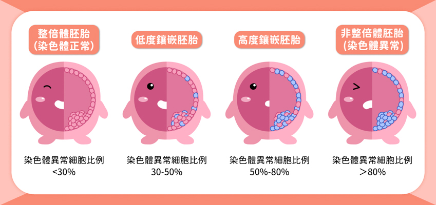 鑲嵌型胚胎_繁_鑲嵌度圖 鑲嵌型胚胎_繁_鑲嵌度圖