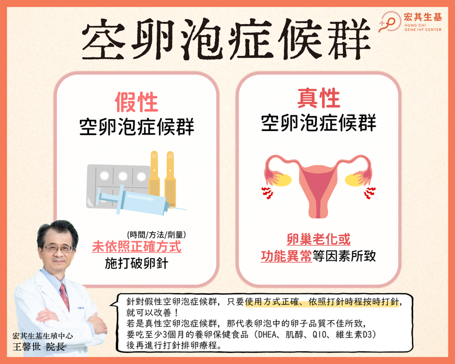 宏生的空卵泡症_工作區域 1-2 宏生的空卵泡症_工作區域 1-2