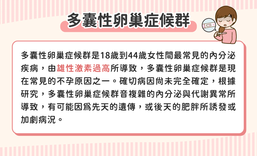 多囊網站-02 多囊網站-02