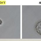 516029698_1312192734247638_7976404162601289721_n