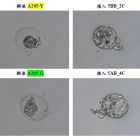 醫師分享_黃副1203-04