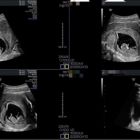 669765753_1567267862073456_4257711902304908787_n