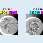 醫師分享_黃副_1150414-03