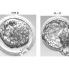 醫師分享_黃副_1150625-03