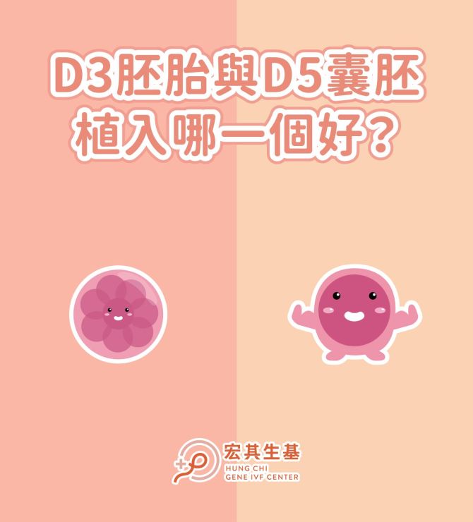 D3胚胎與D5囊胚，植入哪一個好？