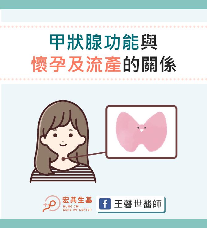 【醫師專欄】甲狀腺功能與懷孕及流產的關係