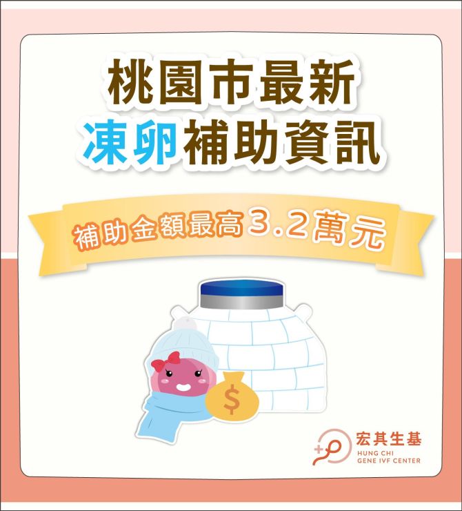 2026最新桃園市凍卵補助完整資訊