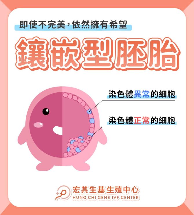 鑲嵌型胚胎是什麼?可以植入嗎?